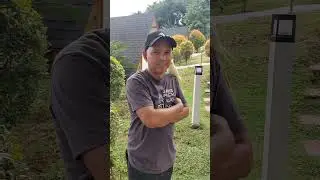 OPEN AVIARY SET UP - IBAT IBANG KULAY NG IBON BUMABABA SA PUNO