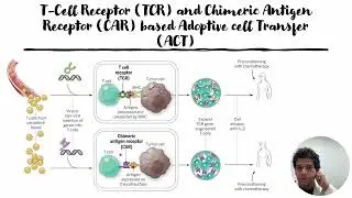 T-Cell Receptor(TCR) & Chimeric Antigen Receptor(CAR) based Immunotherapy against cancer #Code: 1125