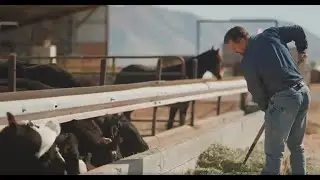 Roots & Returns: The Farm-Grown Philosophy Behind PEG&rsquo;s Ascent