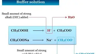 What is  buffer solution/ ionic equilibrium/ ph/ buffer solution by shahid sir #Neet #Jee #Chemistry