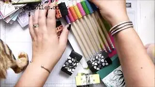 Stampin' Up! Cards in the Mail to Me!
