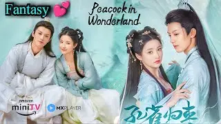 Peacock in Wonderland Chinese Drama Review | Romance Fantasy (Hindi Dubbed ✌🏻