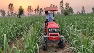 Kubota A211n | Ploughing Sugarcane Field with Reverse Forward Rotavator