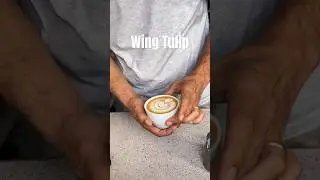 How to make a wing tulip #baristalife #coffee #latteart #wingtulip