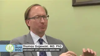 Immune System and Cancer