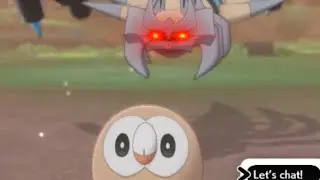 Rowlet seems a bit nervous