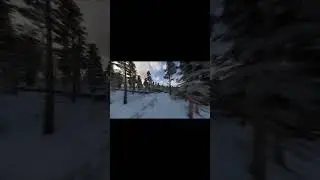Где лутаться №3 Гайд Scum 0.8 #scum #игры