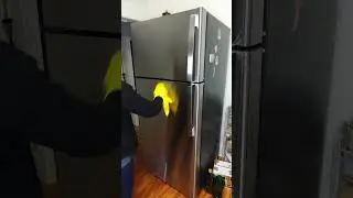 Fridge Cleaning Reset 🧼 | DSS Cleaning Charleston #cleaning #kitchencleaning #home