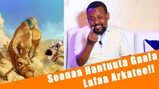 Seenaa Hantuuta Gaala Lafaa Arkatee!!