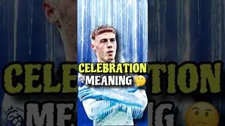 Palmer COLD Celebration🥶 | Meaning Behind ?