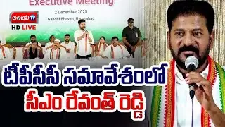 CM Revanthreddy LIVE: PCC Meeting In Gandhi Bhavan #cmrevanthreddy #brsvscongress #brs #bjp #live