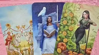 VIRGO ♍️ TODO EXPLOTA HOY! EN POCAS HORAS ALGUIEN REACCIONA, TE LLEGA ÉXITO INESPERADO | AMOR Y MÁS