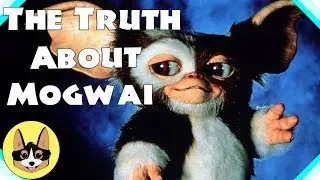 Gizmo's Backstory/Past Life AS A HUMAN!  |  Gremlins Movie Analysis