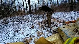 Копание и отлов Аппалачей