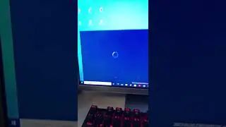 Can someone help me fix this problem please ? | Search Bar keeps crashing/closing