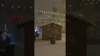 Storms And Christmas Market | Life in Estonia | NEBC