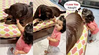 Karan Patel Mastikhor Daughter Mehr Patel Playing With Her Dog Naughty -  CUTE VIDEO