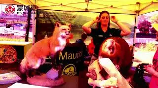 8.11 Learn to camp （MCH & Parks Canada）