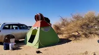 سفاري البر ....بادية السماوة .... الناصرية 20-12-2025