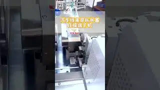 Waterproof Seal Insertion Machine Terminal Wire Processing for Automotive Connector Parts