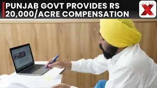 Punjab Govt Announces Rs 20,000 Per Acre Compensation for Flooded Farmers | Punjab Floods