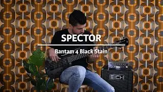 Spector Bantam 4 Black Stain played by Daniel van der Molen | Demo @ The Fellowship of Acoustics