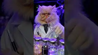 &ldquo;AI Cat Doing a Science Experiment 😱&rdquo;#cat #cute #funny #cat videos #experimental