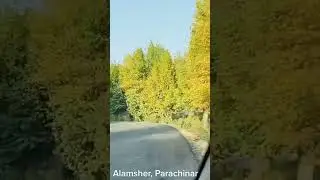 Alamsher, Parachinar