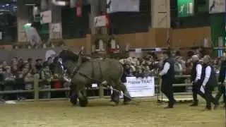 TRAITS DU NORD DEFILE 1 ER PRIX PARIS  2013