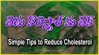 కొలెస్ట్రాల్&zwnj;ని తగ్గించుకునే ఉపాయాలు l Simple Tips to Reduce Cholesterol l Mana Arogyam tv