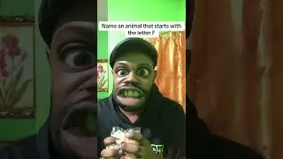 #frychicken #nigeriatiktok #jamaicantiktok #jamaicancomedy #viralmemes #animal #viralvideos #funny
