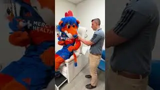 Come with Me: Gary The Lion Gets a Flu Shot