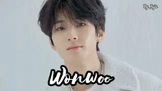 #55 Imagina con Wonwoo (SEVENTEEN)