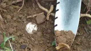 Diggin' The Past- Metal Detecting Series Trailer