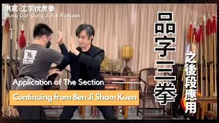 洪家-工字伏虎 品字三拳之後段應用  Application of The Section-Continuing from Ben Ji Sham Kuen