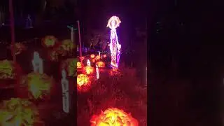 Dia De Los Muertos Beautiful  Lights!