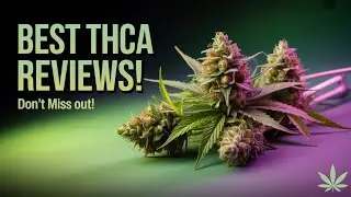 THCA: The Reviews You Didn't Want to Miss