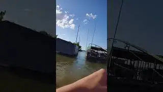 Catching Crappie from the bank | Lake Lewisville, Texas