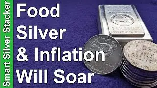 Stocks Plummet - When Fed Reverse Policy Silver, Food & Inflation Will Soar