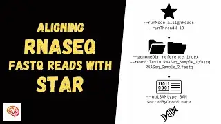 How to Align RNA-seq FASTQ Reads with STAR