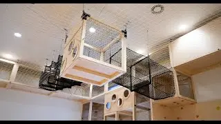 Adventure Climbing Maze ⎸ GoAdventure
