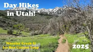 Discovering the Magic of Wheeler Creek & Ice Box Canyon (4K)