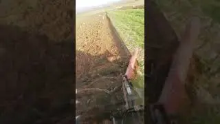 Fiat 110/90 con aratro a Dischi Verdegiglio