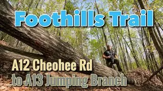 Foothills Trail: Hiking A12-A13 Cheohee Rd access to Jumping Branch