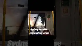 A Sydney Sun Rise On the Train  #shorts #sydney #australia  #travel #trending