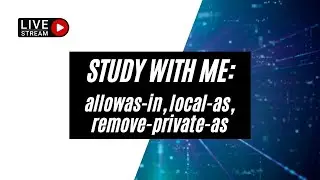 [LIVE] Study With Me - allowas-in, local-as, remove-private-as