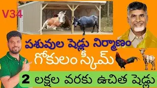 పశువుల షెడ్లు నిర్మాణం // గోకులం పథకం // కోళ్లు, గొర్రెలు షెడ్లు //Cattle Sheds in AP @sksureshinfo