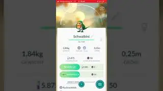 Shiny Schwalbini = Schwalboss 👌🏻