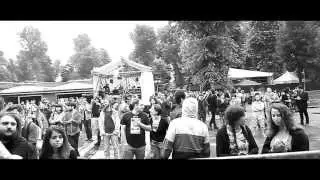 Platonick Dive | Mi Ami Festival 2013 | Mini Video Report