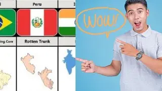 Every Country Maps Looks like Animal